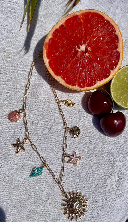 Collier Coquillages Colorés